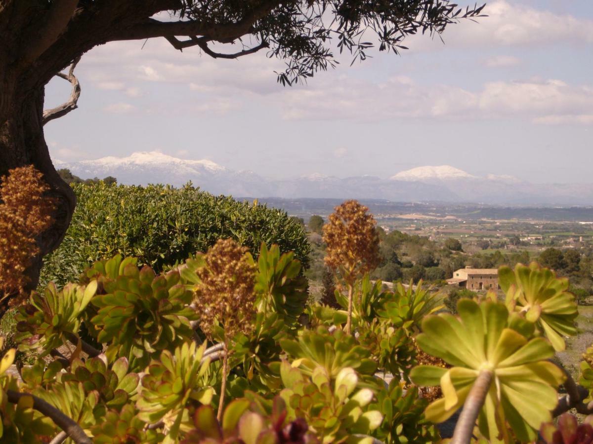 Holiday home La Costa Loft